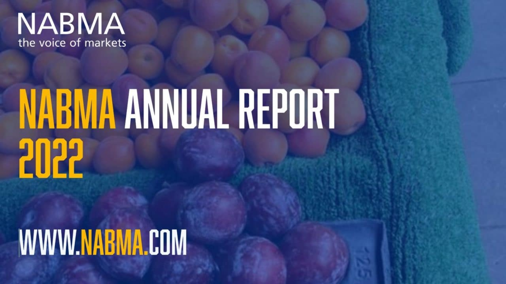 Annual Report 2022-1