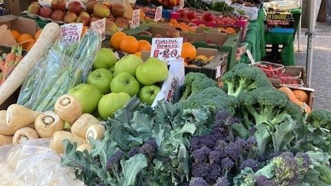 Veg 1 Veg 1